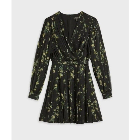 Ted Baker Dresses & Skirts - Ted Baker Izzily Papyrus Pleated Mini Dress Ted Size 2 US 6